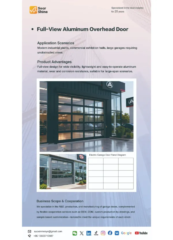 Puerta elevadora de aluminio de vista completa